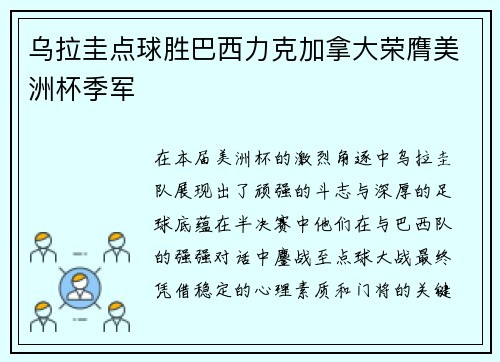 乌拉圭点球胜巴西力克加拿大荣膺美洲杯季军