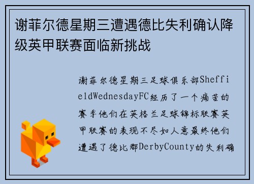 谢菲尔德星期三遭遇德比失利确认降级英甲联赛面临新挑战